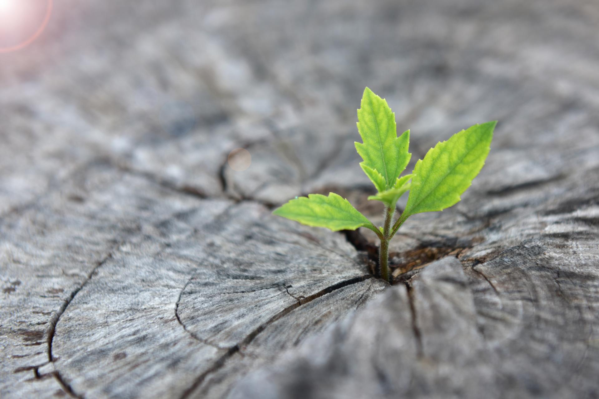 shutterstock_474780697-0-0-0-0-1760358311