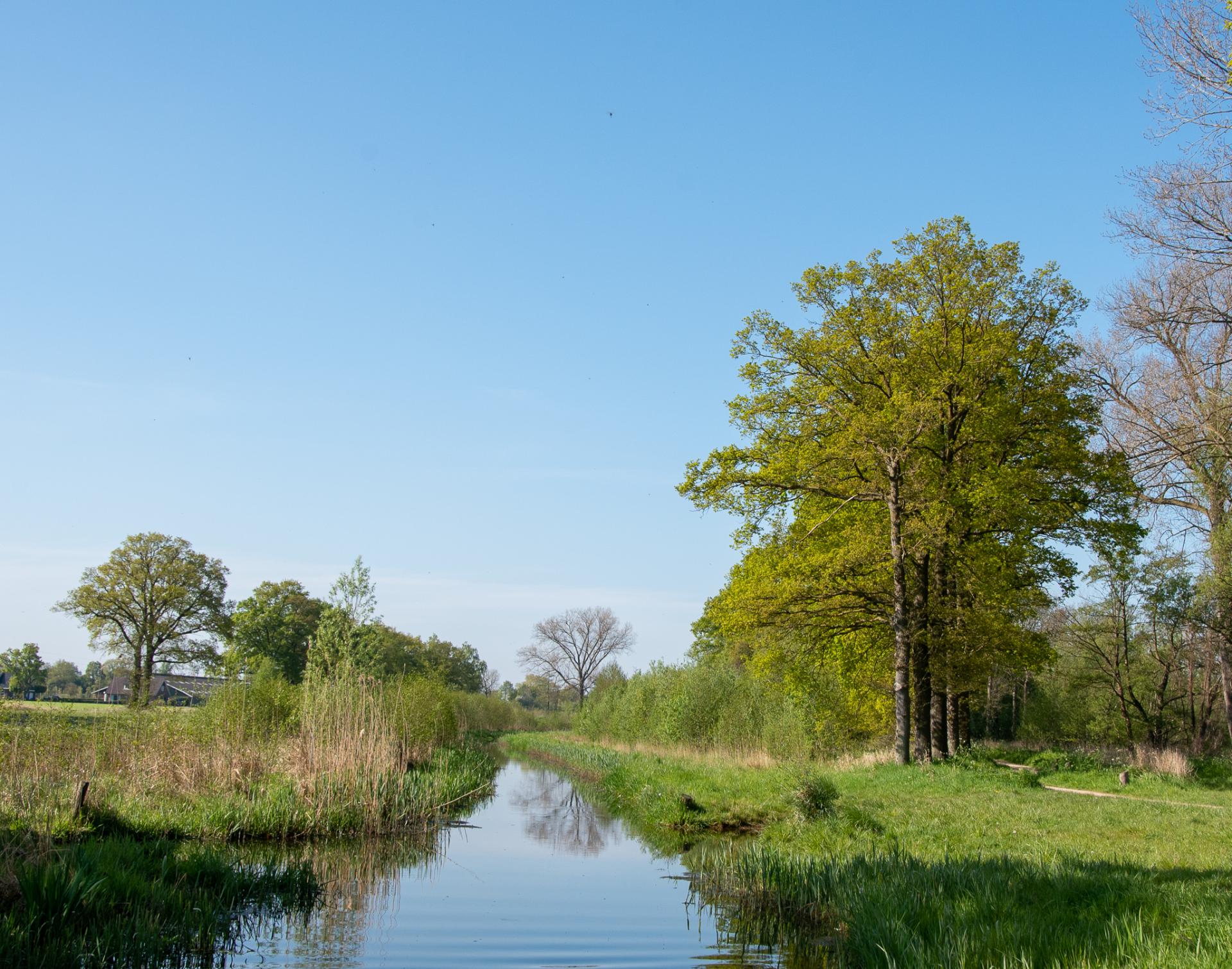 DSC_6221-0-0-0-0-1683919382