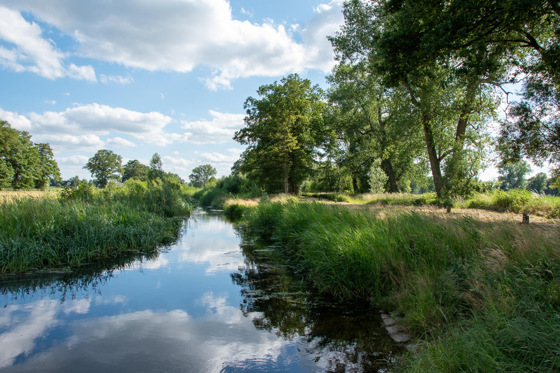 DSC_7957-0-0-0-0-1691519887