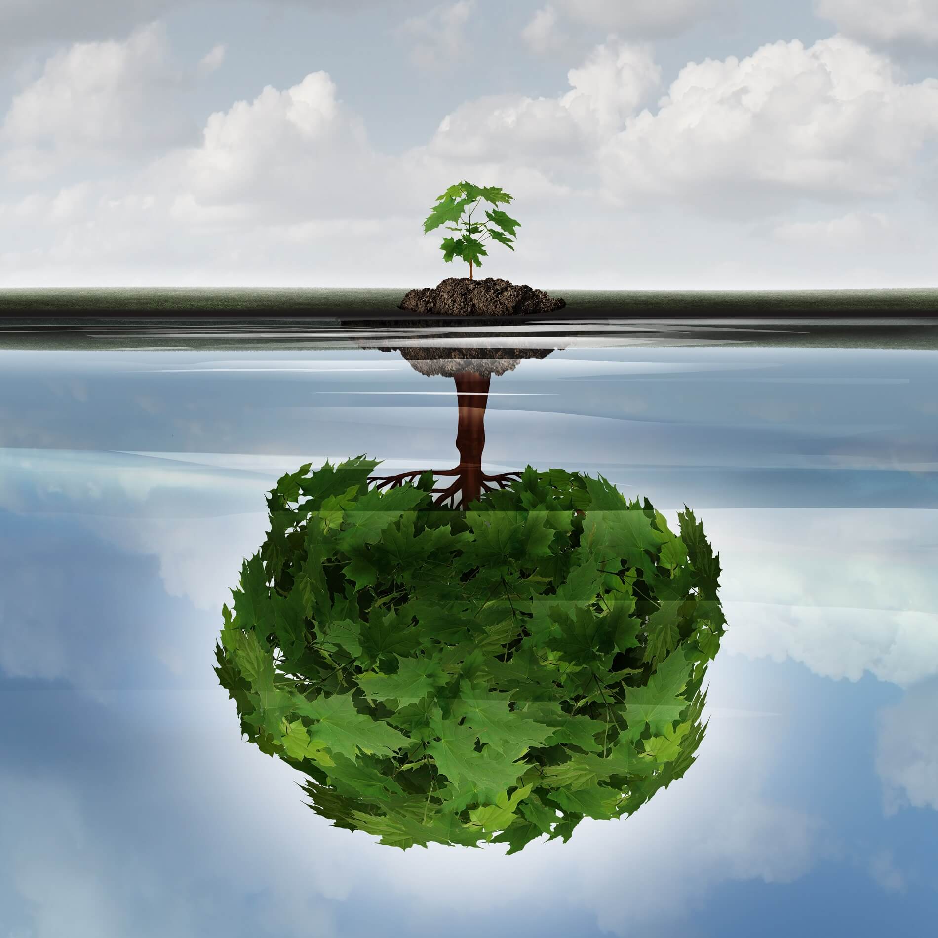 shutterstock_491945860 1900 pixels-0-0-0-0-1612033976